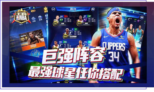 可替代