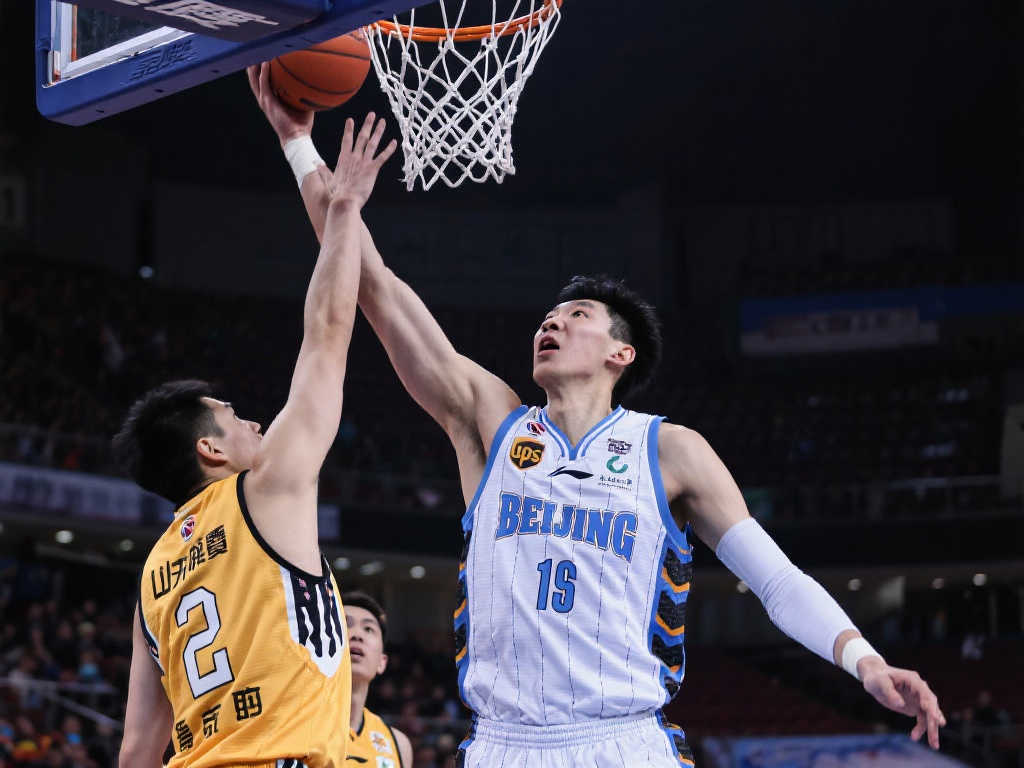 是杜锋需要 是杜锋需要